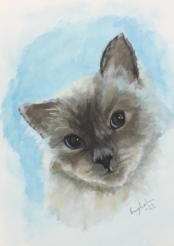 Lemmikkimaalaus muotokuva kissa
